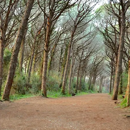 Via Dei Platani דירה *
