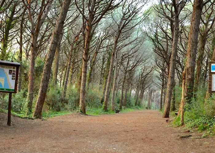 Via Dei Platani דירה *